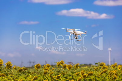 Drone hovering over sunflower field