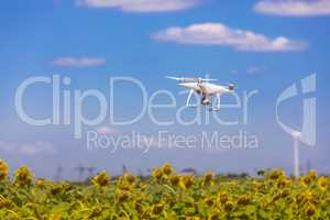 Drone hovering over sunflower field