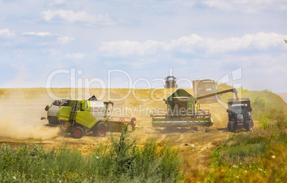 Grain harvesting combine