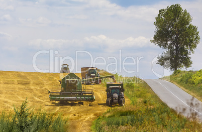 Combine harvester in action on wheat field