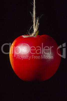 Red ripe apple on a rope