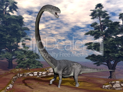 Omeisaurus dinosaur - 3D render