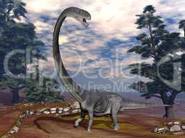 Omeisaurus dinosaur - 3D render