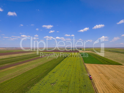 Drone photo quad in a field in summer