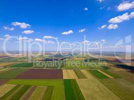 Drone photo quad in a field in summer