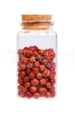 Dry Juniper seed in a bottle with cork stopper for medical use.