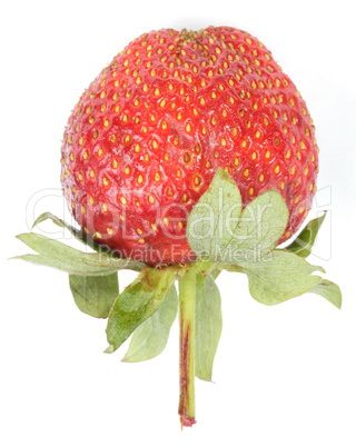 one raw red Strawberry