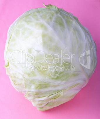 Head of White Cabbage on Pink Background