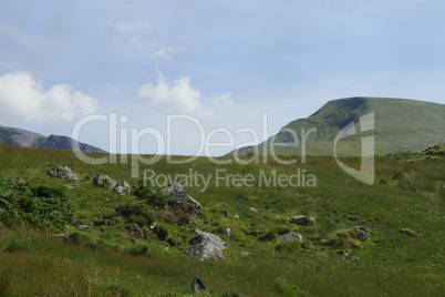 Green grassland with clear blue sky
