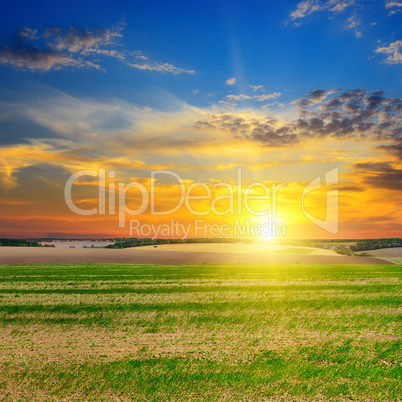 field, sunrise and blue sky