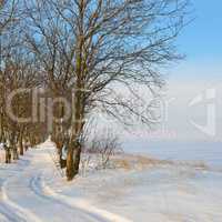 snow-covered field and blue sky