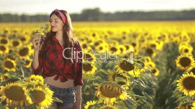 Charming girl smelling sunflower blossom in field