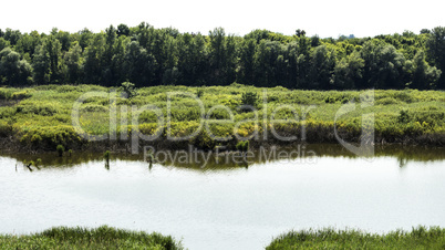 Lake and meadow