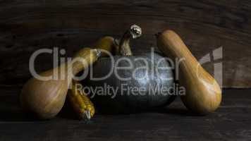 Pumpkin, Corncob and autumn leaves Decoration on a wooden table