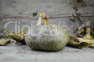 Pumpkin, Corncob and autumn leaves Decoration on a wooden table
