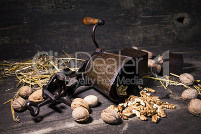 Walnuts and hand walnuts grinder