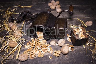 Wallnuts and hand walnuts grinder