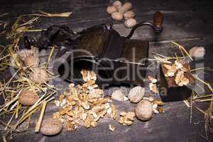 Wallnuts and hand walnuts grinder