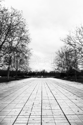 Paved walkway in the park