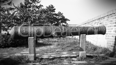 Vintage Cannon Resting Outdoors