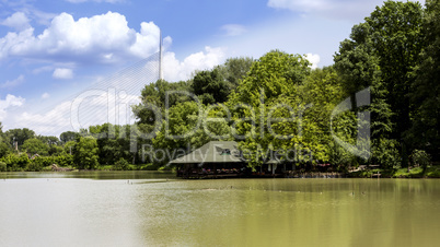 Landscape of trees, pond and clouds