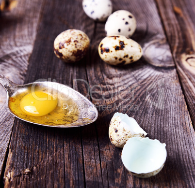 Raw quail egg in an iron spoon