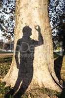 Mans Shadow On A Tree Trunk