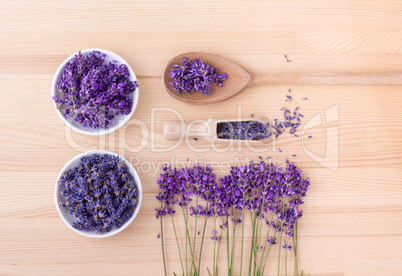 fresh and dried lavender flowers