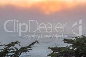 Pacific Ocean Foggy Sunset With Cypress Trees.