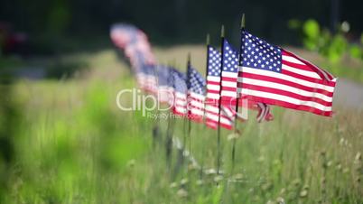 Long Row of American Flags On Fence Waving in the Wind.