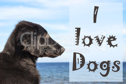 Dog At Ocean, Text I Love Dogs