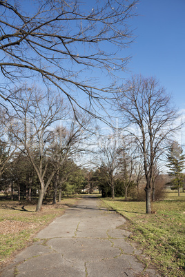 Path In The Park