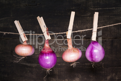 Onions hanging on a rope