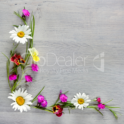 Flowers composition.Flat lay, top view