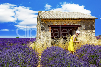 Woman in lavender field