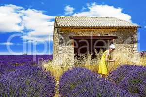 Woman in lavender field