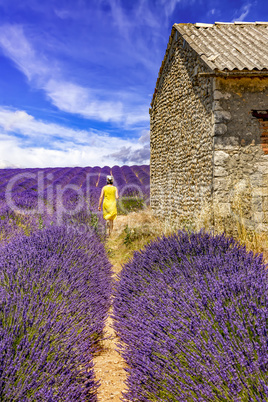 Woman in lavender field