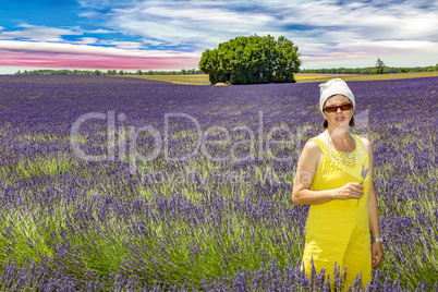 Woman picking lavender flowers in lavender field