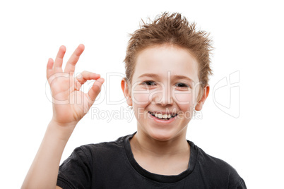 Beauty smiling young teenager boy gesturing OK or success sign