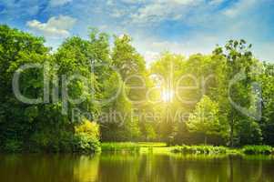 picturesque lake, summer forest on the banks and the sunrise
