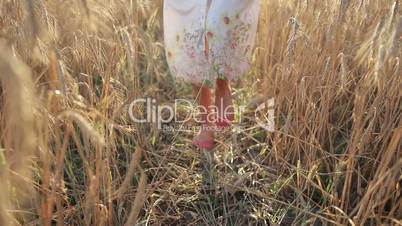 Relaxed woman legs walking in ripened wheat field