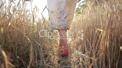 Carefree woman walking in ripe wheat field