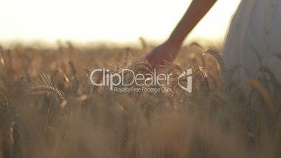 Silhouette of woman in wheat field in sunset light