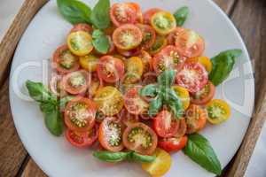 Tomaten Salat mit Basilikum