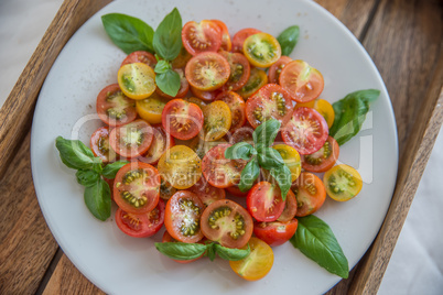 Tomaten Salat mit Basilikum