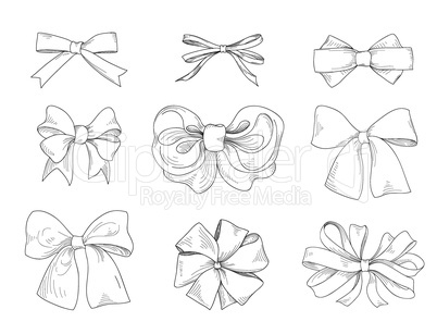 Bow drawn. Fashion accessory sign. Gentle bow ribbon isolated sk