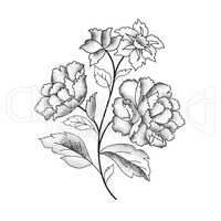 Flower bouquet isolated. Floral sketch background. Hand drawn en