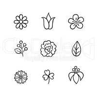 Floral icon set. Flowers, berry and leaves line art icons