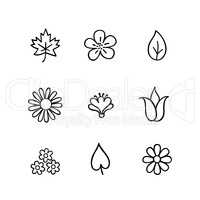 Floral icon set. Flowers and leaves. Nature line art icons