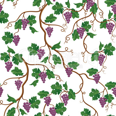 Floral pattern with grape branch. Wineyard seamless wallpaper. G